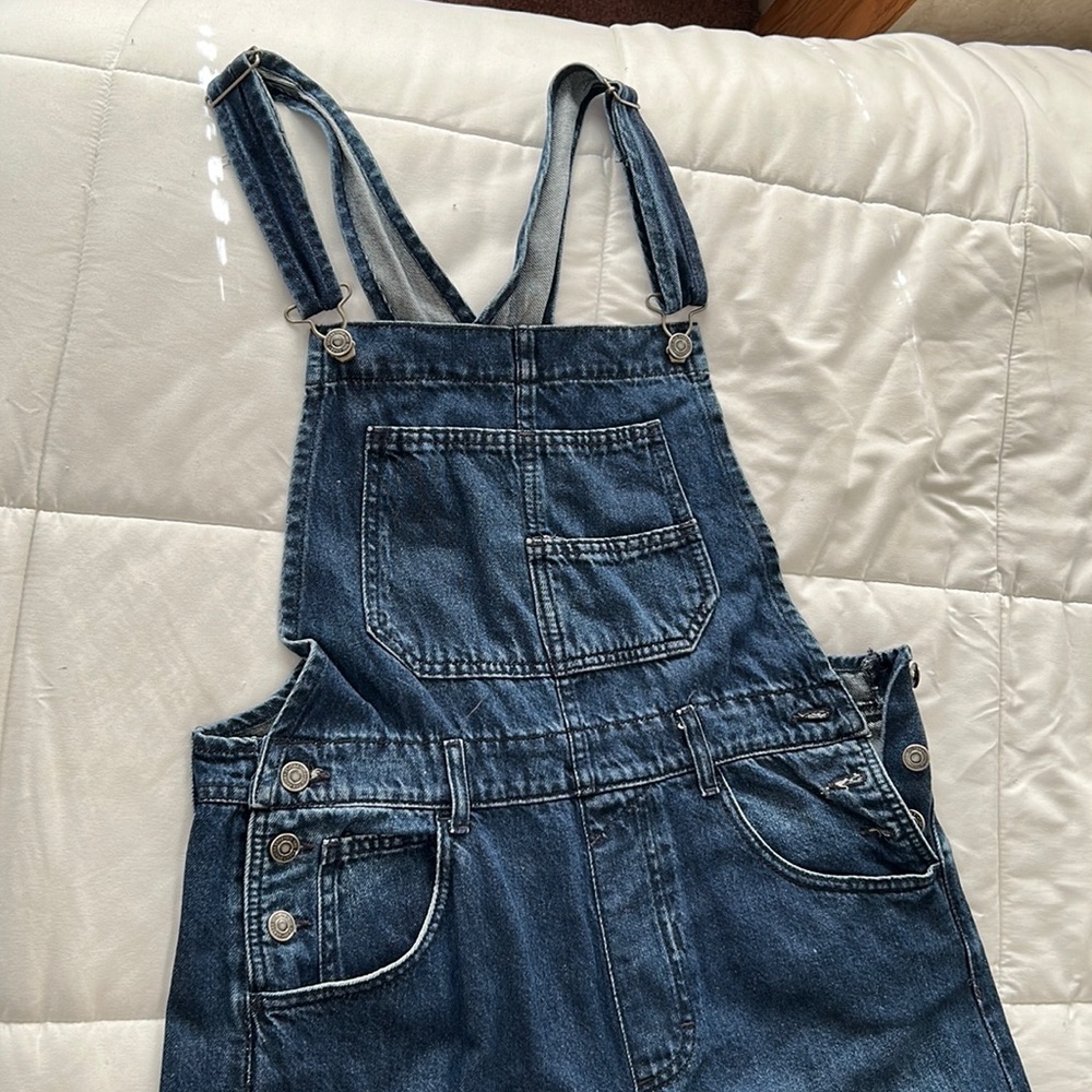 Free people ziggy overalls
